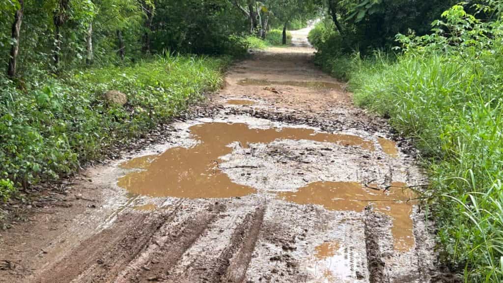 Reclaman mejora de caminos rurales en Kantunilkín