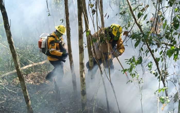 Controlan más del 50% de incendio en Xpu-Há