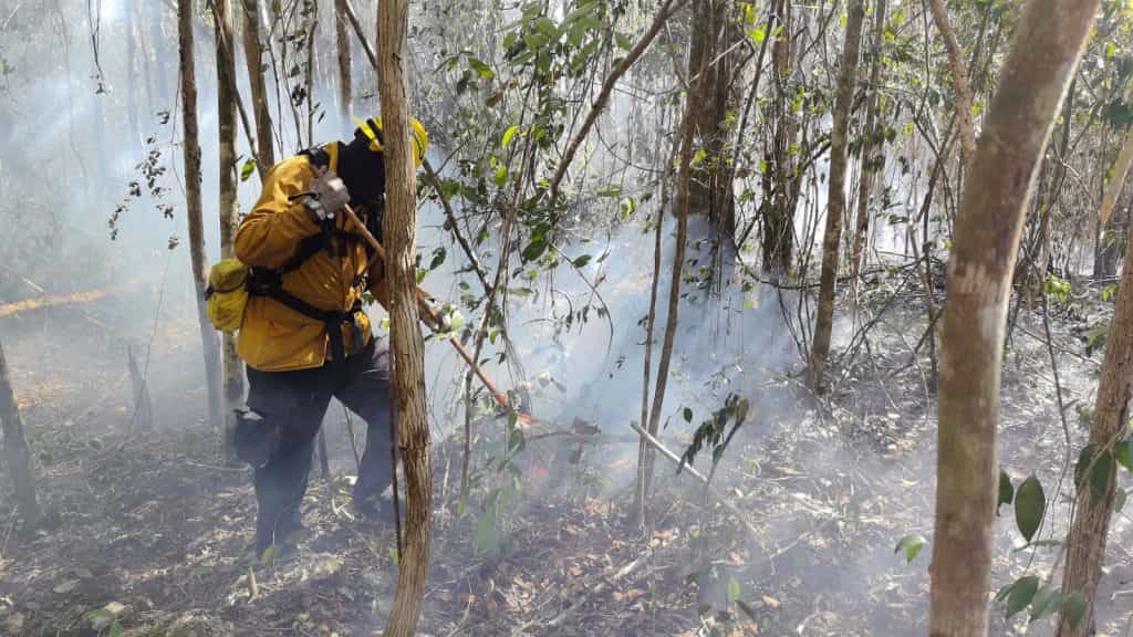 Combaten incendio forestal de 100 hectáreas en Xpu-Há