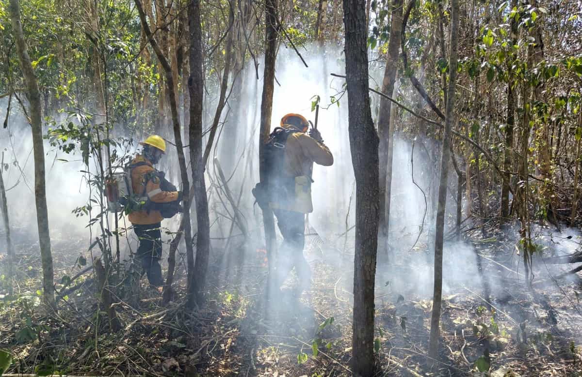 Refuerzan combate al incendio forestal en Xpu-Há