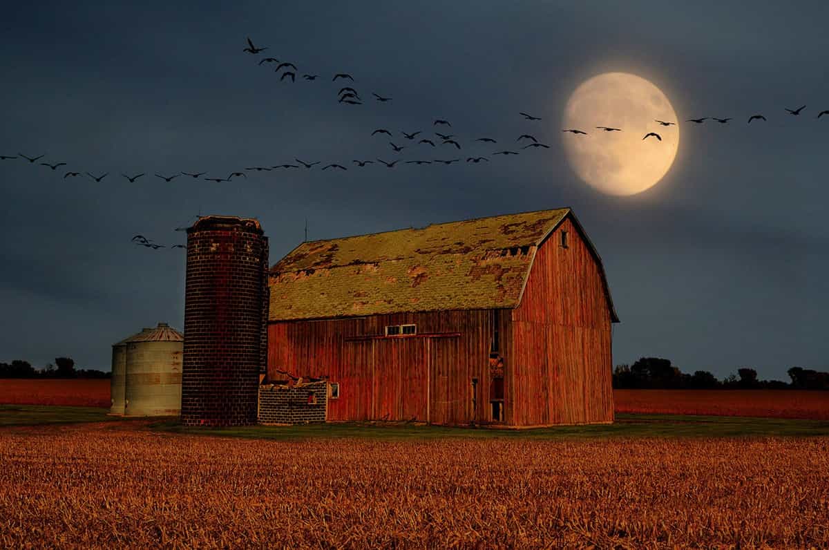 Cielo de septiembre: Vea Venus brillante y la Luna de Cosecha