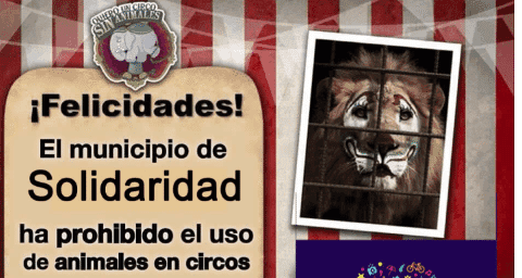 Es oficial, NO más circos con animales en Solidaridad.