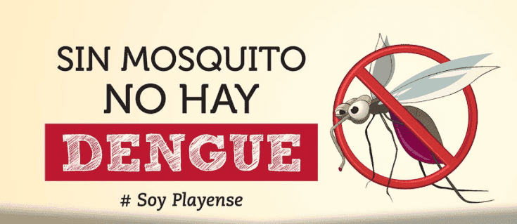 10 medidas para prevenir el dengue.