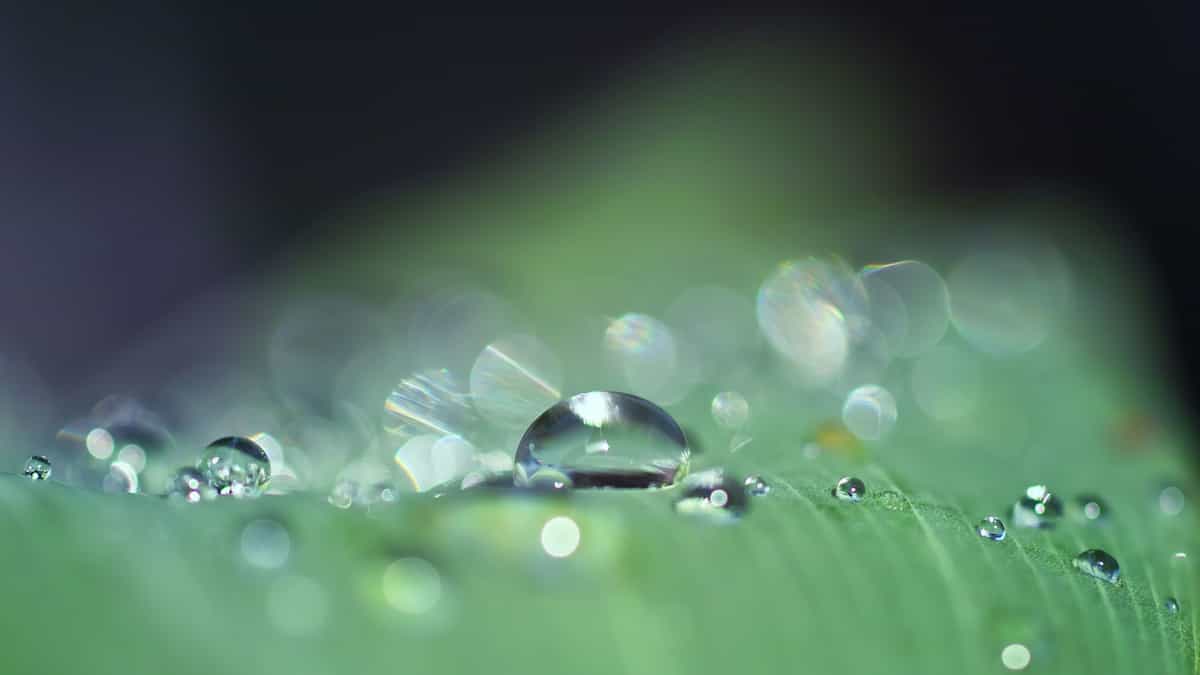 7 acciones para cuidar el agua en temporada de lluvias