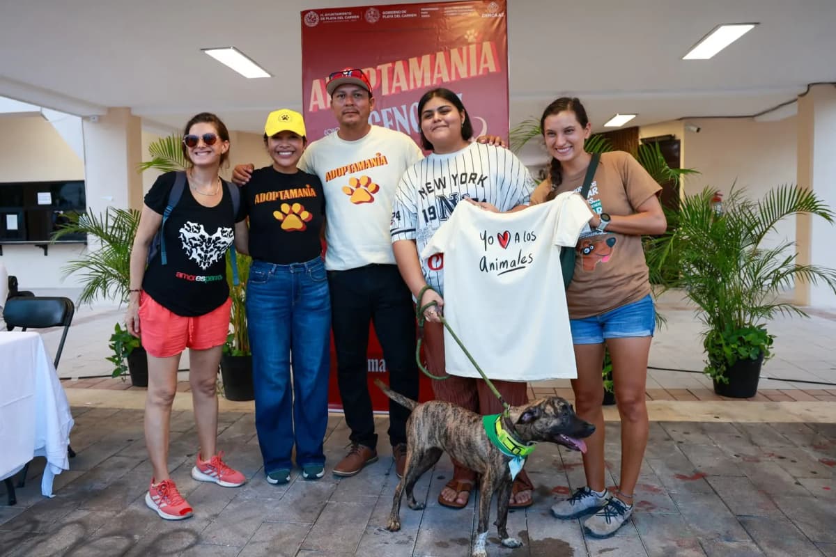 Adoptamanía: Playa del Carmen busca hogares para perros rescatados