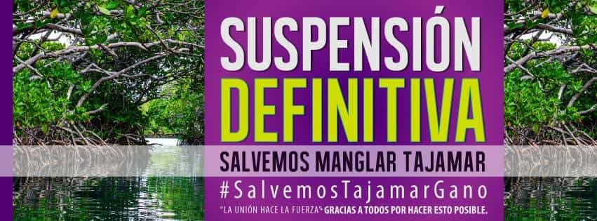 Dan suspensión definitiva a las obras en Manglar Tajamar