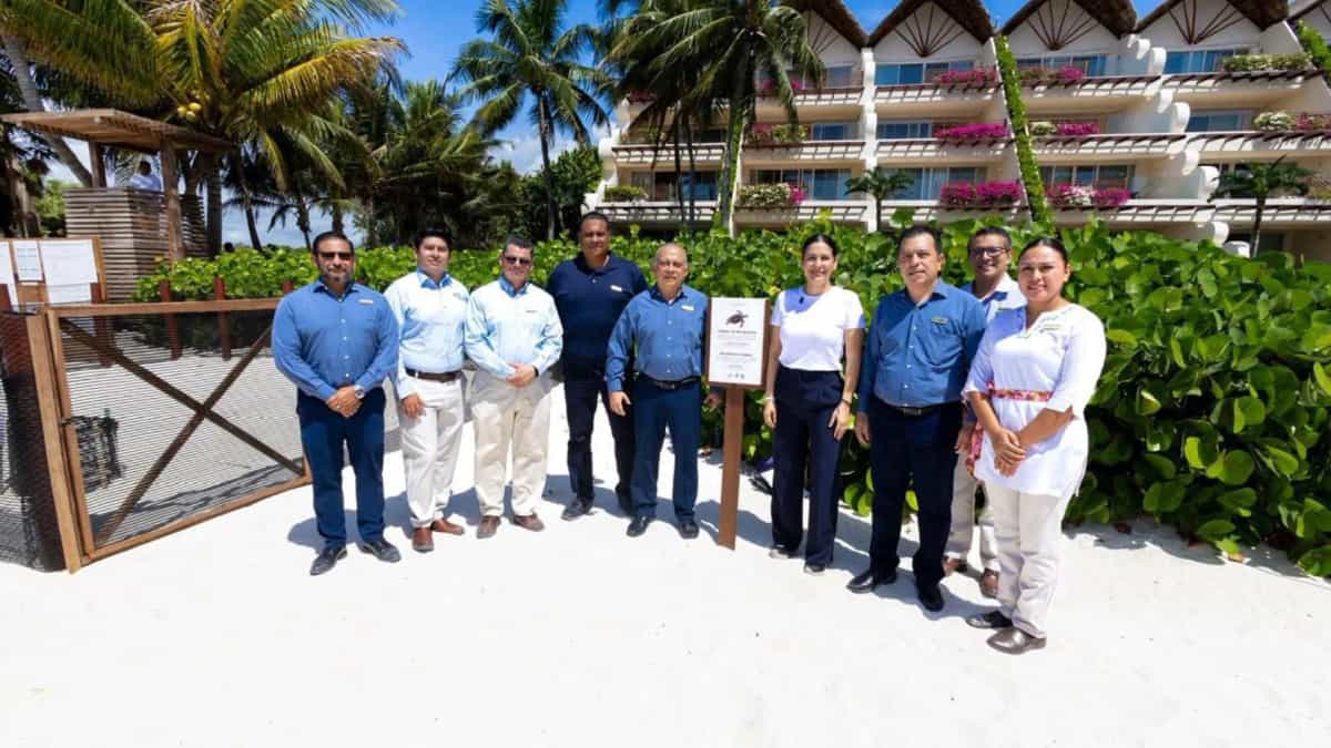 Estefanía Mercado refuerza la protección de tortugas marinas en Playa del Carmen