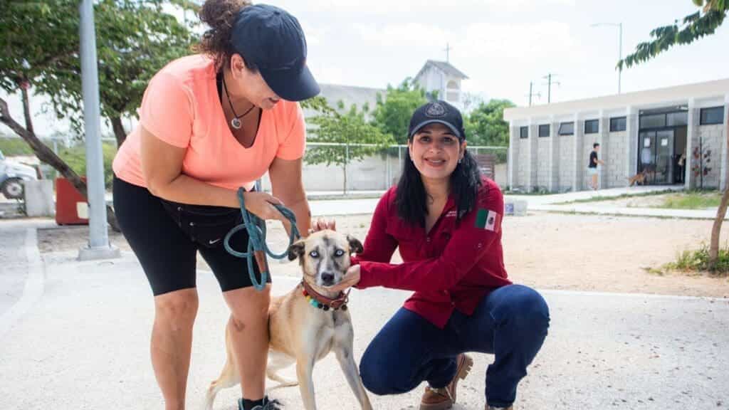 Con Estefanía Mercado al frente, Playa del Carmen está a un paso de hacer historia con su primera clínica gratuita para animales