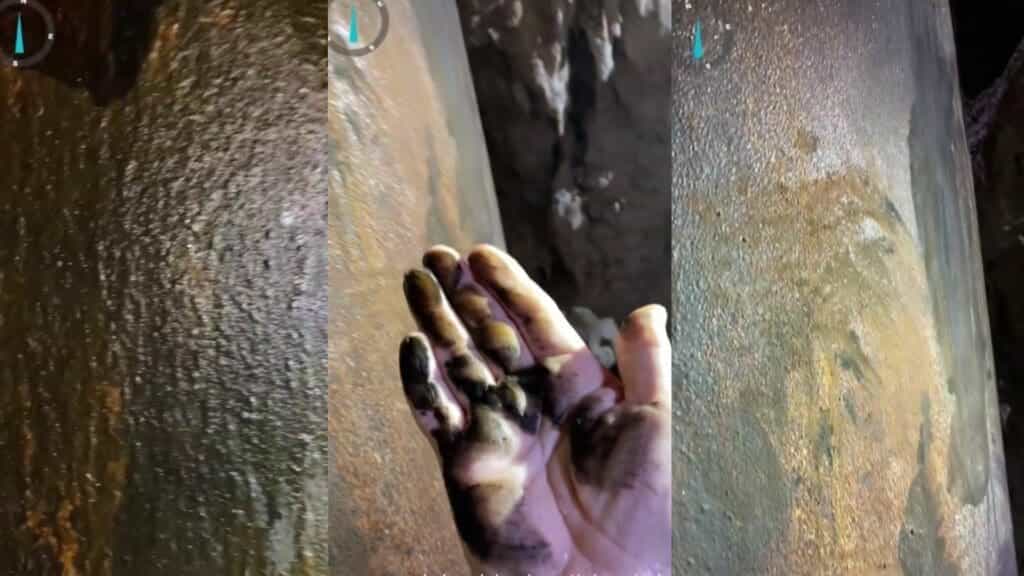 Corrosión de más de 15 mil pilotes del Tren Maya contaminará el acuífero de Quintana Roo
