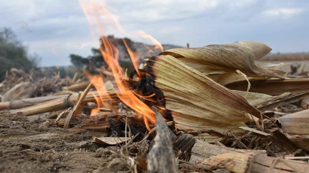 Han aumentando los incendios en Playa del Carmen, muchos han sido provocados