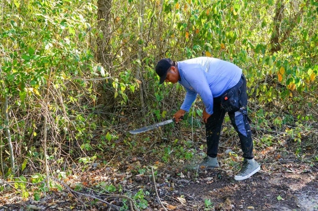 Invitan a no crear tiraderos en Playa del Carmen y reportarlos