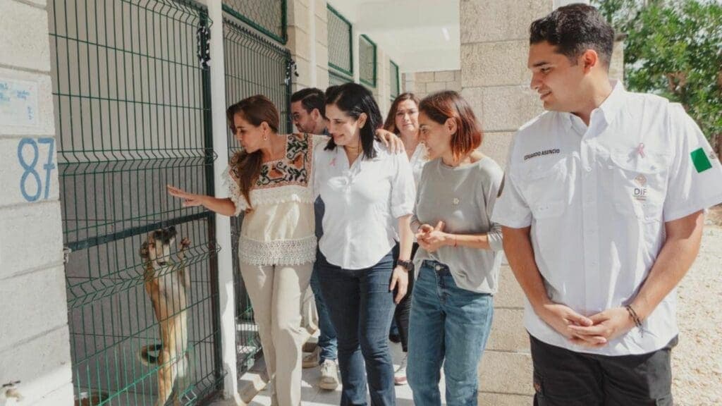 Mara Lezama y Estefanía Mercado, por la adopción responsable de mascotas