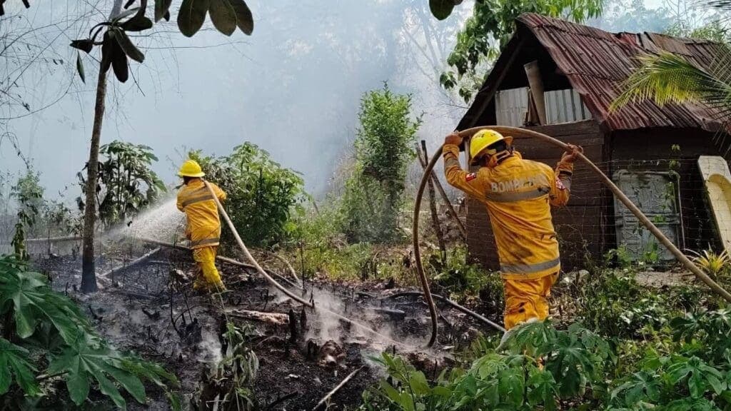Playa del Carmen cierra la temporada de incendios forestales 2025 con 914 incidentes atendidos