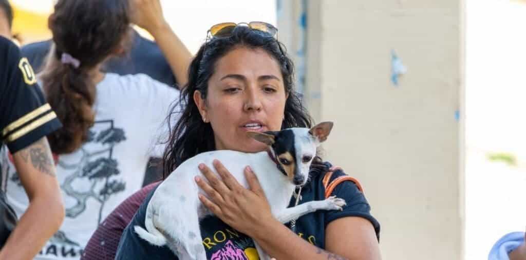 Refuerza Estefanía Mercado el bienestar animal en Playa del Carmen