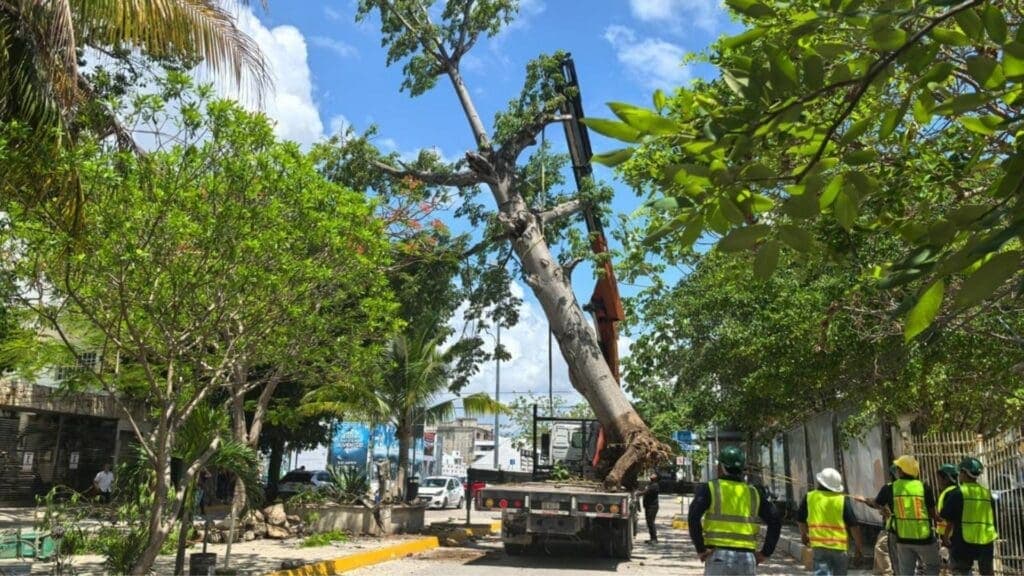 Gobierno de Solidaridad y sector privado juntos en beneficio del medio ambiente