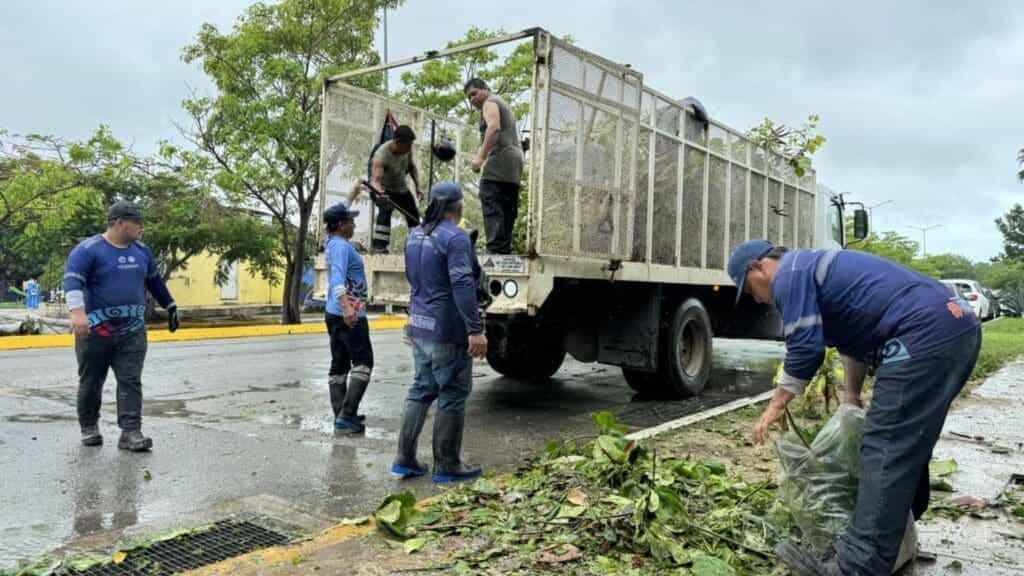 Solidaridad registra saldo blanco tras el paso de Beryl