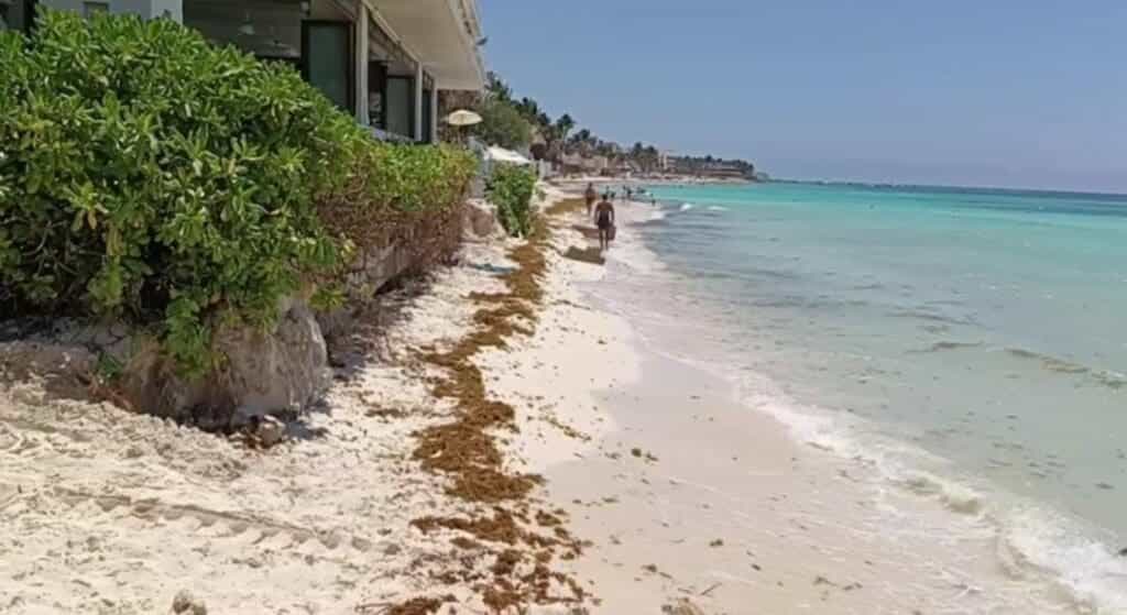 Supervisan autoridades de Playa del Carmen que obras del Hyatt no erosionen la costa
